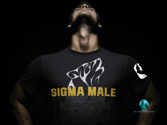 Sigma Male | Half Sleeves | T-Shirt | Men